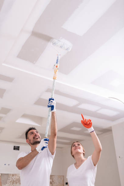 Best Mold Removal for HVAC Installations  in Plantation, FL
