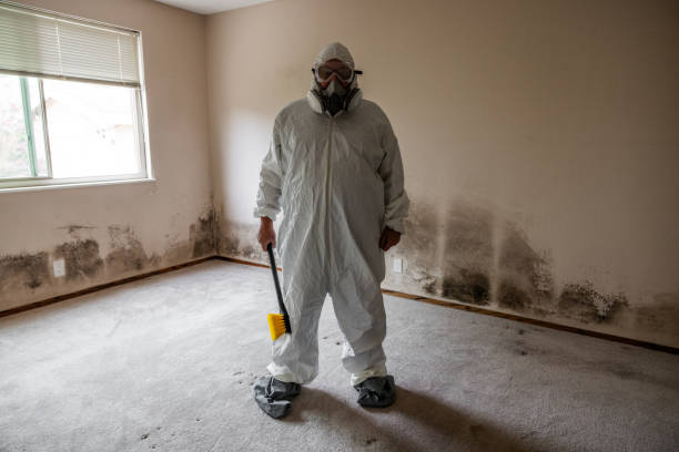 Mold Remediation for Vacation Homes in Plantation, FL
