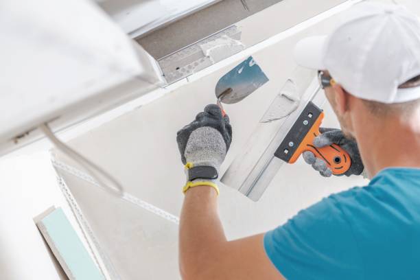 Mold Remediation for Rental Properties in Plantation, FL